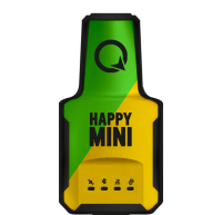 09.mini.q